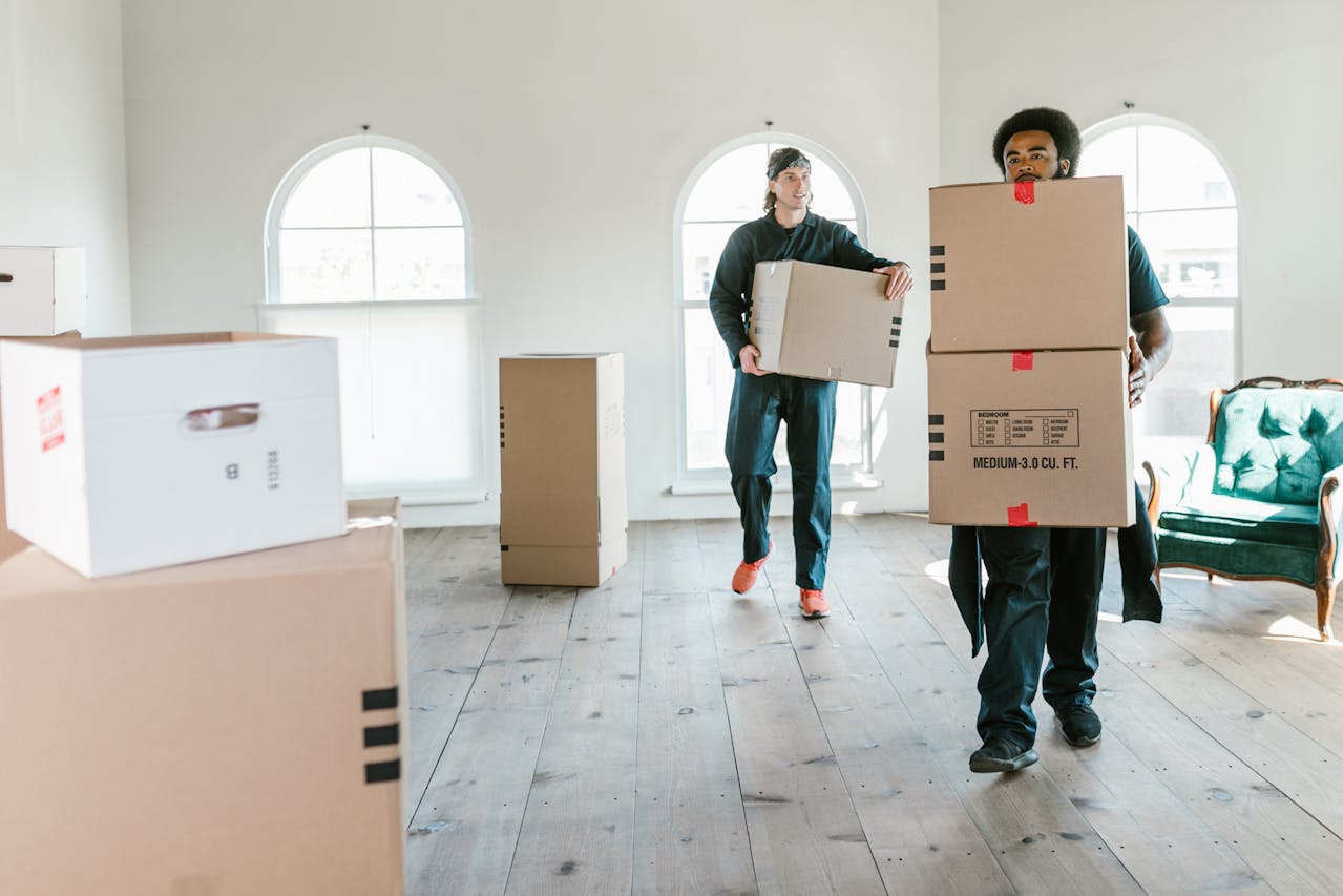 moving company The Hague?