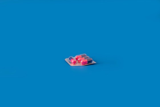 Supplement